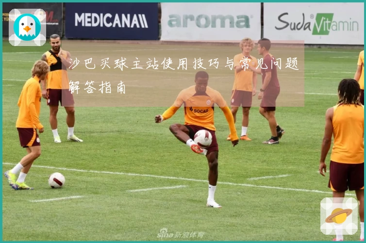 沙巴买球主站使用技巧与常见问题解答指南