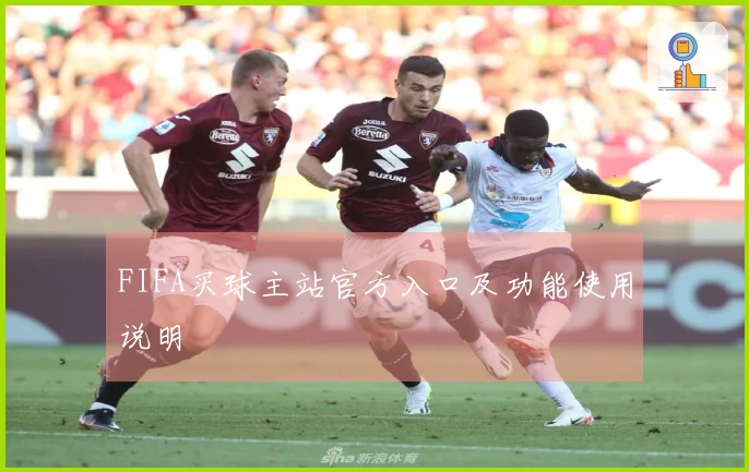 FIFA买球主站官方入口及功能使用说明