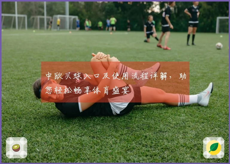 中欧买球入口及使用流程详解，助您轻松畅享体育盛宴