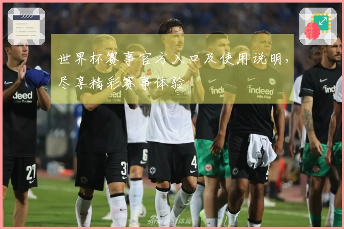 世界杯赛事官方入口及使用说明，尽享精彩赛事体验