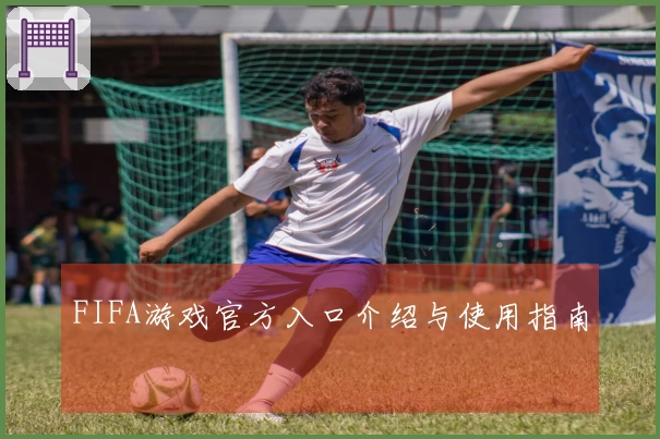 FIFA游戏官方入口介绍与使用指南