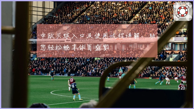 中欧买球入口及使用流程详解，助您轻松畅享体育盛宴