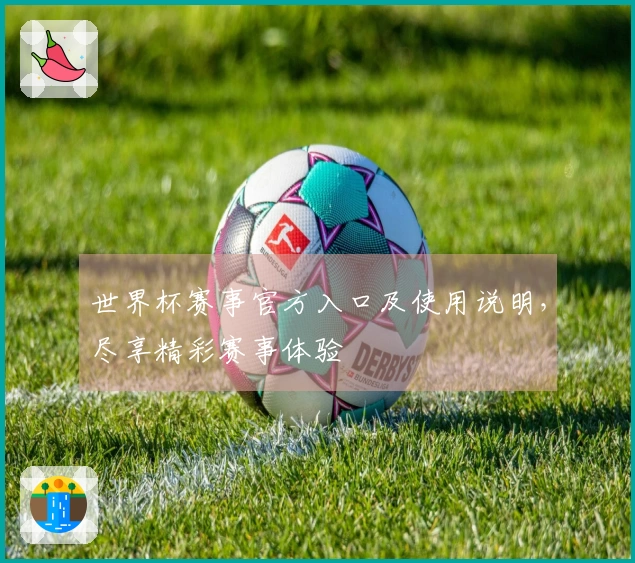 世界杯赛事官方入口及使用说明，尽享精彩赛事体验