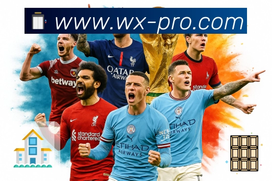 世界杯赛事官方入口及使用说明，尽享精彩赛事体验